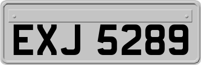 EXJ5289