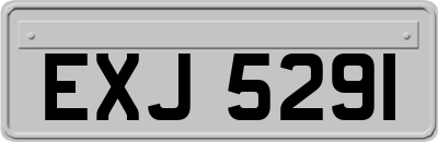 EXJ5291