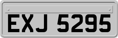 EXJ5295
