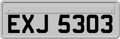 EXJ5303