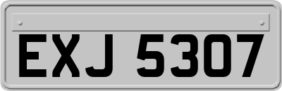 EXJ5307