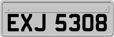 EXJ5308