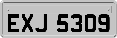 EXJ5309