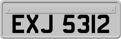EXJ5312