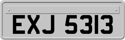EXJ5313