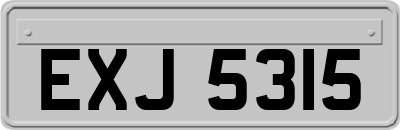EXJ5315