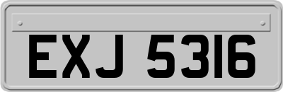EXJ5316