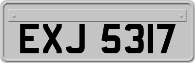 EXJ5317
