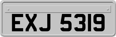 EXJ5319