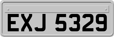 EXJ5329