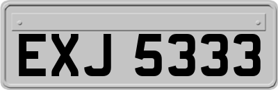 EXJ5333