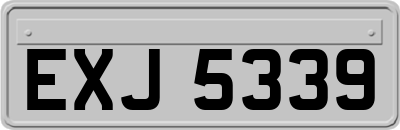EXJ5339