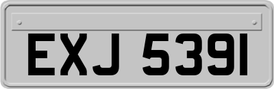 EXJ5391