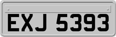 EXJ5393