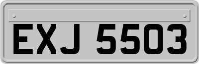 EXJ5503