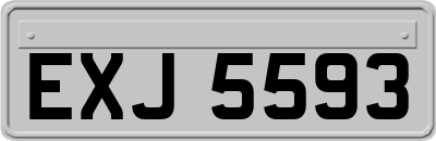 EXJ5593