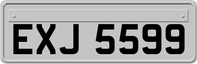 EXJ5599