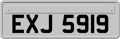EXJ5919
