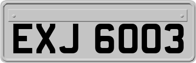 EXJ6003