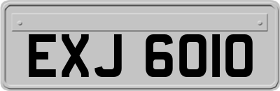 EXJ6010
