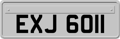 EXJ6011
