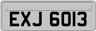 EXJ6013