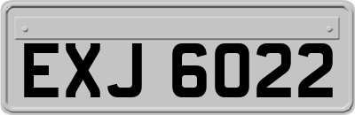 EXJ6022