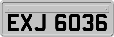 EXJ6036