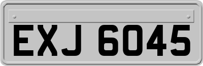 EXJ6045