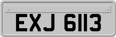 EXJ6113