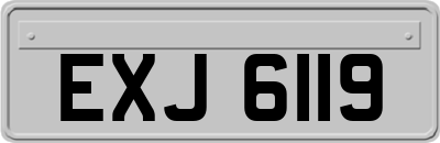EXJ6119