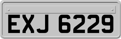 EXJ6229