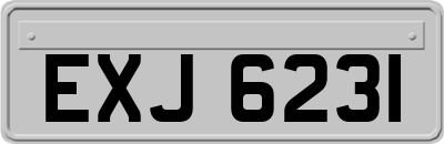 EXJ6231