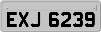 EXJ6239