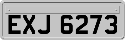 EXJ6273