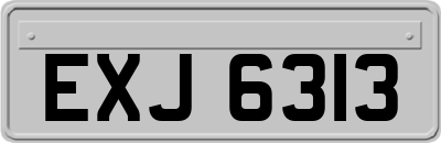 EXJ6313