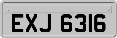 EXJ6316