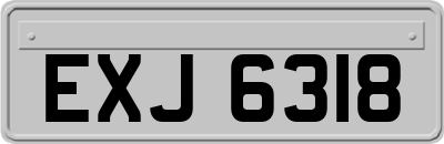 EXJ6318