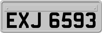 EXJ6593