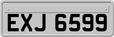 EXJ6599