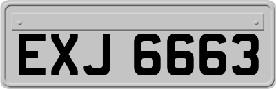 EXJ6663