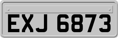 EXJ6873