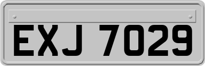 EXJ7029