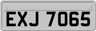 EXJ7065