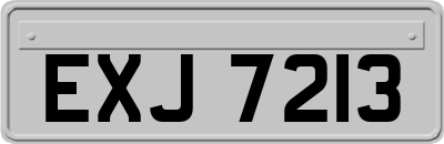 EXJ7213