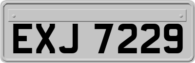 EXJ7229