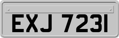 EXJ7231