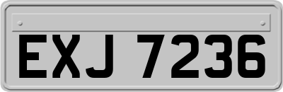 EXJ7236