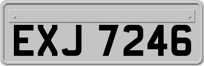 EXJ7246