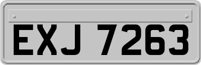 EXJ7263